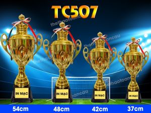 Cúp Kim Loại TC507A 54cm