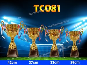 CÚP KIM LOẠI TC081D 30cm