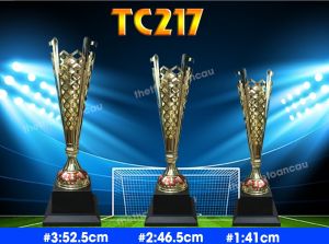 Cúp kim loại thể thao TC 217