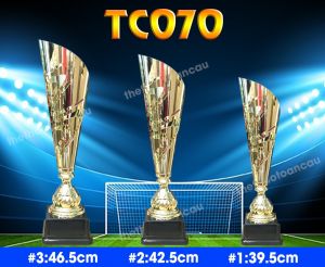 Cúp kim loại thể thao TC 070